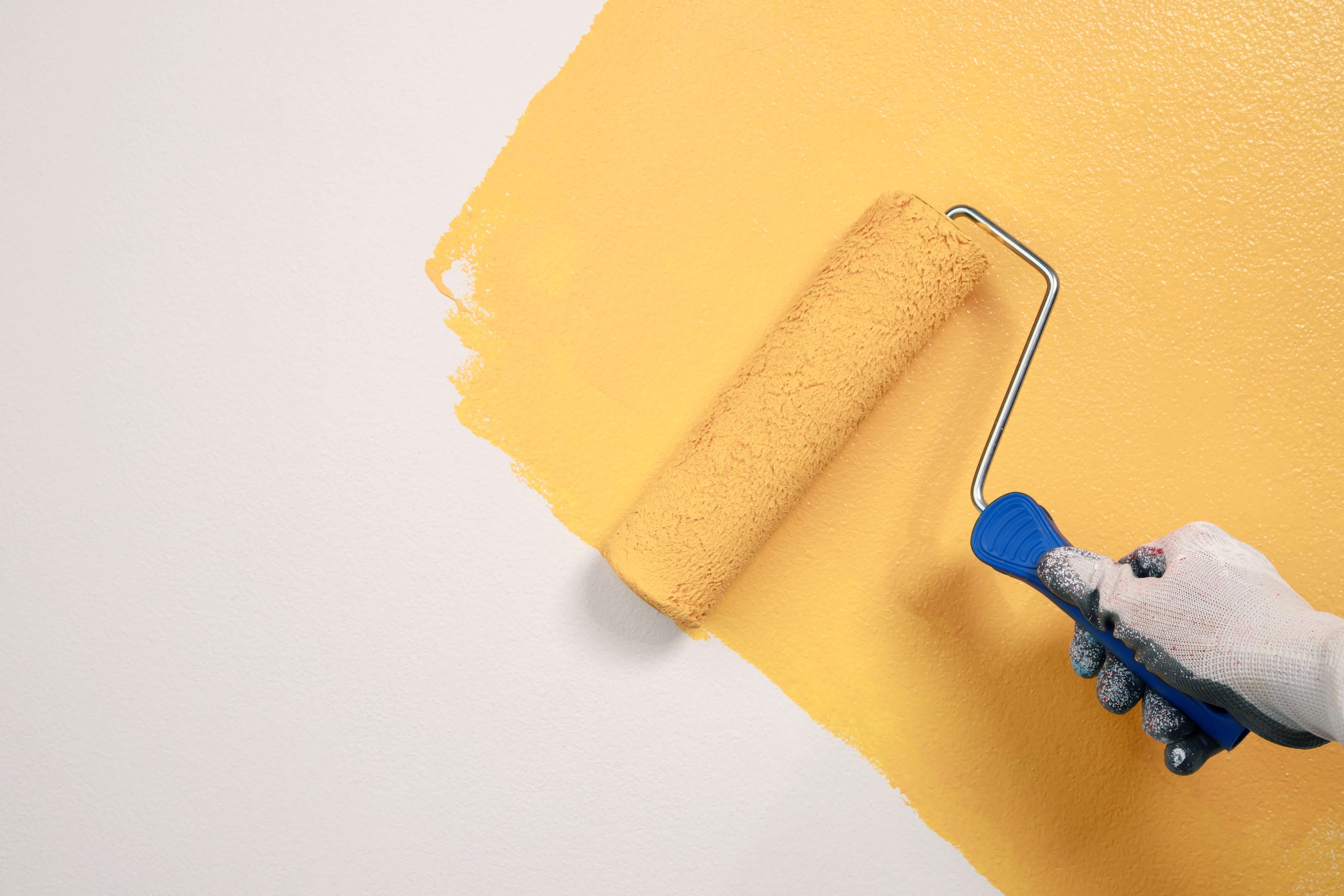 Painting roller
